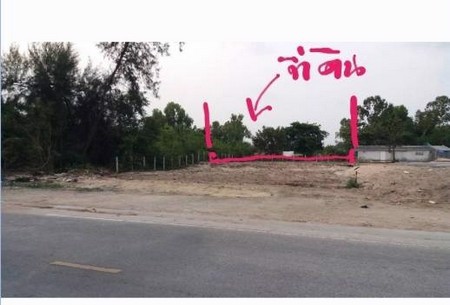 ขายด่วน-ที่ดินทำเลสวย-หาดสุชาดา-ตเนินพระ-จระยอง-ขนาด-100-ตารางวา