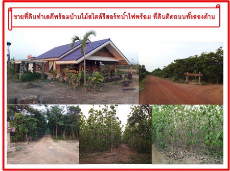 ขายที่ดินทำเลดีพร้อมบ้านไม้สไตล์รีสอร์ทน้ำไฟพร้อม-ที่ดินติดถนนทั้งสองด้าน