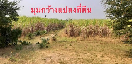 ขายที่ดินพื้นที่-14-ไร่-3-งาน-55-ตรวา-อเมือง-จพิจิตร