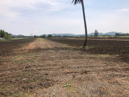 ขายที่ดินเปล่า-จังหวัดสระบุรี-เนื้อที่-23-ไร่-3-งาน-50-ตารางวา