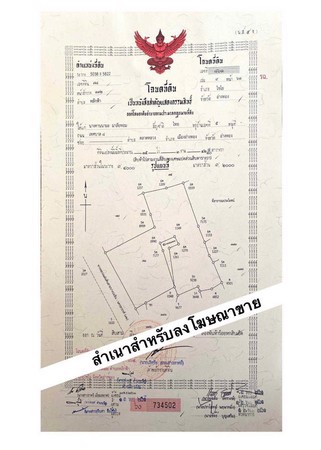 ขายและปล่อยเช่าที่ดินทำเลอนาคต-ติดถนนสายเอเซีย-ที่ดินถม-อไชโย-จอ่างทอง