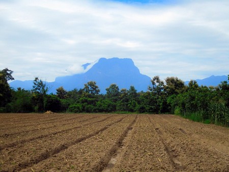 ขายที่ดินเชียงดาว-ราคาถูก-เนื้อที่-11-ไร่-เงียบสงบ-ร่มเย็น-มีธรรมชาติอันสวยงามมาก