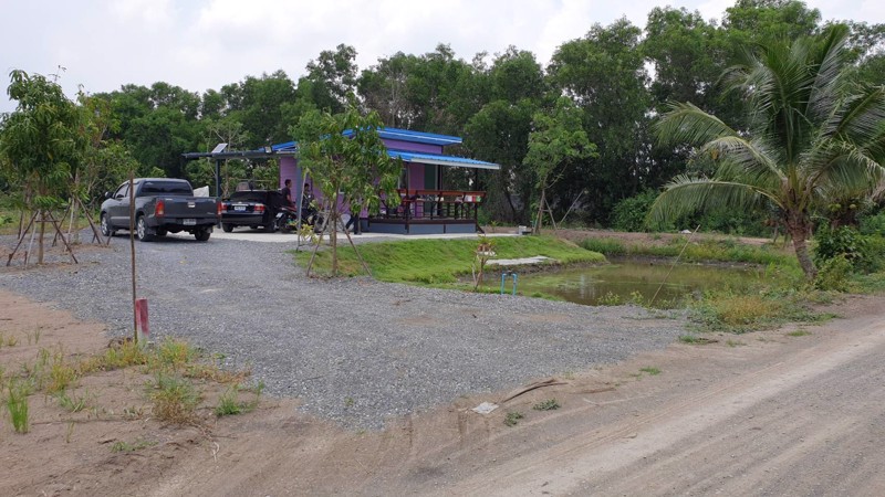 ขายที่ดินเปล่าถมแล้วเป็นบางส่วน-แบ่งแปลงย่อยยกร่องสวนเกษตร