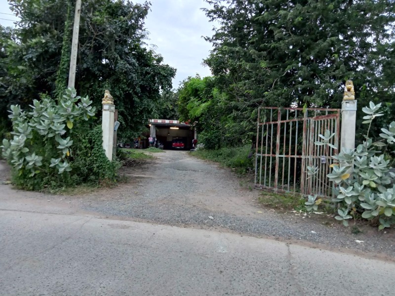 ขายที่ดินสวนพร้อมถมจำนวน-1-ไร่-อ-โชคชัย-จนครราชสีมา