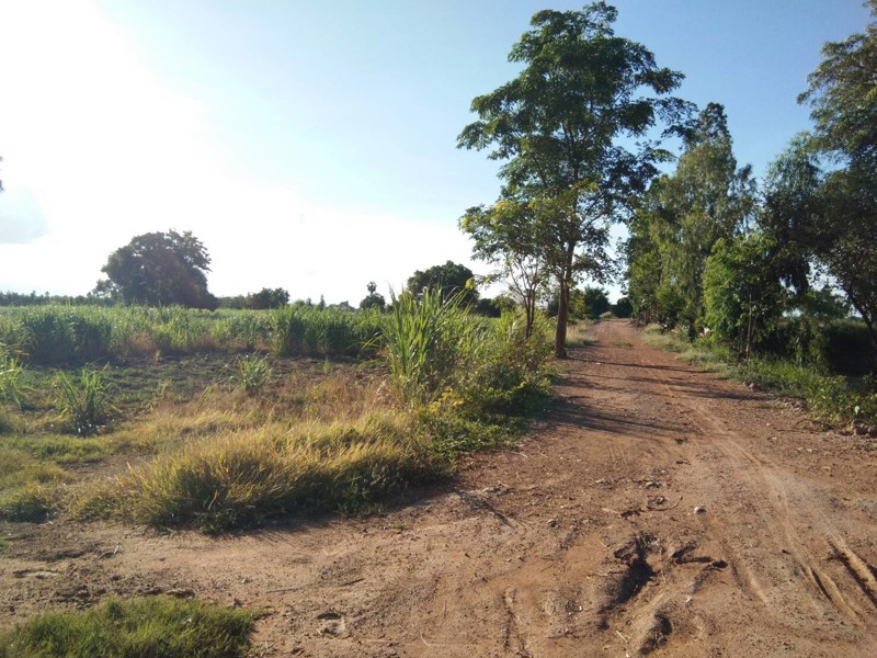 ขายที่ดินเปล่าติดแม่น้ำท่าจีน-2-ไร่-2-งาน-อเดิมบาง-จสุพรรณบุรี