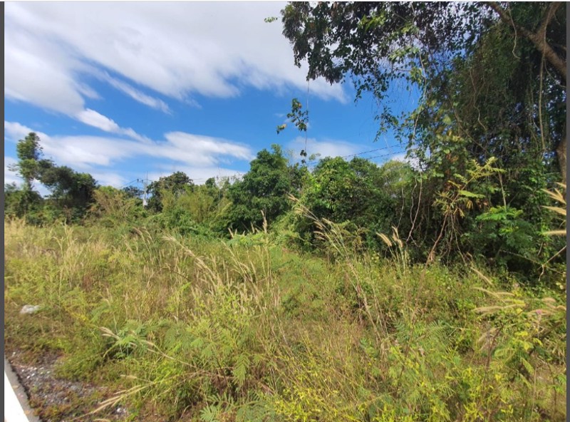 ขายด่วน-ที่ดิน-7-ไร่-ตโคกไม้ลาย-อเมือง-จปราจีนบุรี