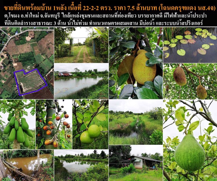 ขายที่ดินทำเลดี-พร้อมสวน-พร้อมบ้าน-1-หลัง-ตำบลโขมง-อำเภอท่าใหม่-จังหวัดจันทบุรี