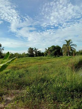 ขายที่สวยมาก-เนื้อที่-13ไร่