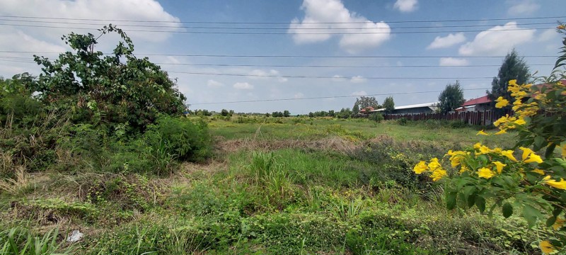 ขายด่วน-ที่ดิน-19-ไร่-2-งาน-46-ตรว-หน้ากว้าง-78-เมตร-ติดถนน-347-บางประอิน-บางประหัน