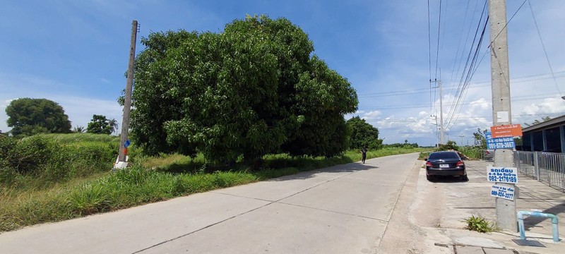 ขายที่ดิน-1-ไร่-ติดถนนคอนกรีต-โฉนด-นส4จ-พร้อมโอน-บ้านบึง-ชลบุรี