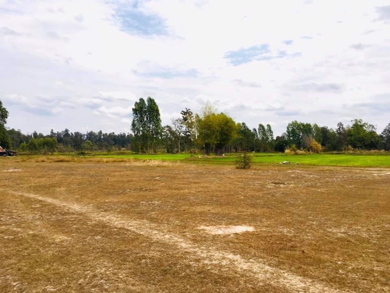 ขายที่ดิน-16-ไร่-ตดอนจิก-อพิบูลมังสาหาร-จอุบลราชธานี