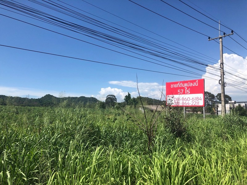 ขายที่ดิน-ทำเลดี-เหมาะสำหรับสร้างธุรกิจ-บางละมุง-จังหวัดชลบุรี