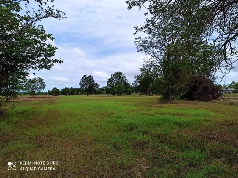 ขายที่ดินสวย-20-ไร่-24-ตรว-ตำบลรางบัว-อำเภอจอมบึง-จังหวัดราชบุรี