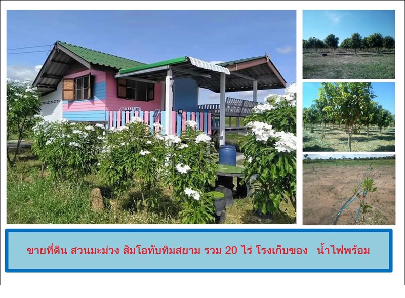 ขายที่ดิน-สวนมะม่วง-ส้มโอทับทิมสยาม-รวม-20-ไร่-สระน้ำใหญ่-2-พร้อมบ้าน-โรงเก็บของ-น้ำไฟพร้อม
