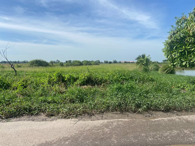 ขายที่ดินเปล่า-ทำเลดี-ติดถนนสาธารณะ-หนองจอก-กรุงเทพฯ