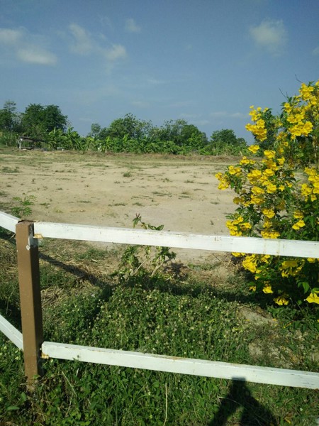 ขายที่ดิน-286-ตรวา-เหมาะสำหรับปลูกบ้าน-น้ำไฟเข้าถึง-ตำบลห้วยกะปิ-เมืองชลบุรี