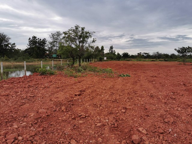 ขายที่ดินถมแล้ว-3-ไร่-2-งาน-16-ตารางวา-หมู่บ้านโนนกอก-จังหวัดชัยภูมิ