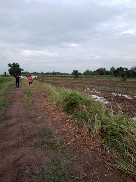 ขายที่ดิน-คลอง8-ตบึงบอน-อหนองเสือ-จปทุมธานี