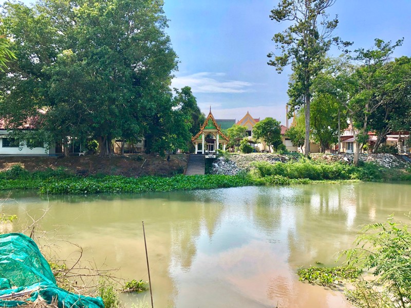 ขายที่-5ไร่-666ตรว-ตบางอ้อ-อบ้านนา-จนครนายก-ติดแม่น้ำนครนายก-ติดลาดยาง