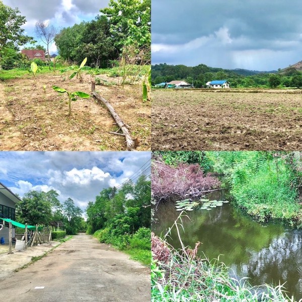 ขายที่สวน-1งาน-79ตรว-ตสาริกา-อเมือง-จนครนายก-ติดคลอง-วิวภูเขา