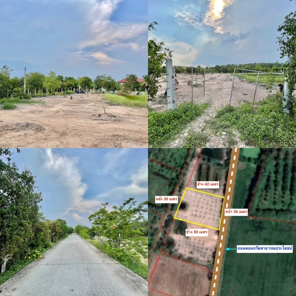 ขายที่สวนมะยงชิด-1-ไร่-ตท่าทราย-อเมือง-จนครนายก-เข้าจากลาดยาง150ม-ติดถนนคอนกรีต