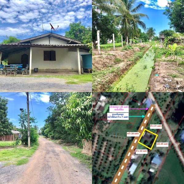 ขายบ้านสวน-ติดถนน-1-งาน-30-ตารางวา-ตท่าช้าง-อเมือง-จนครนายก-ใกล้แหล่งชุมชน