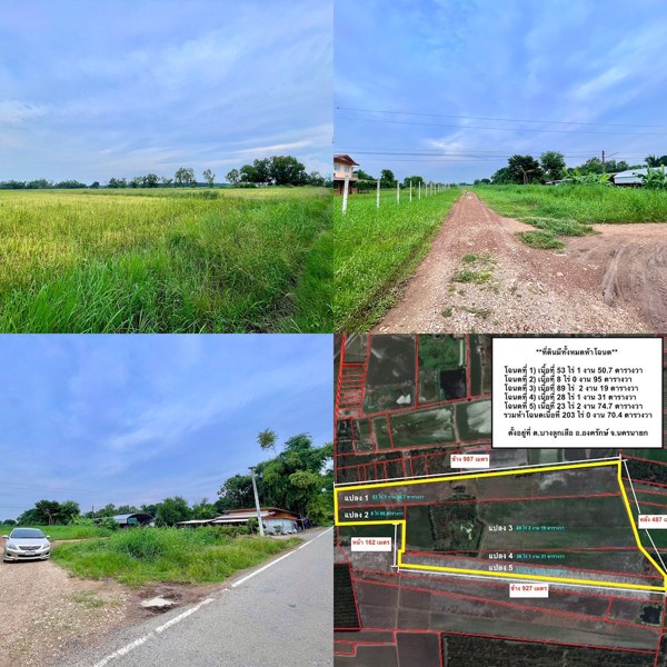 ขายที่นาราคาถูกติดถนน-203-ไร่-704-ตารางวา-ตบางลูกเสือ-อองครักษ์-จนครนายก
