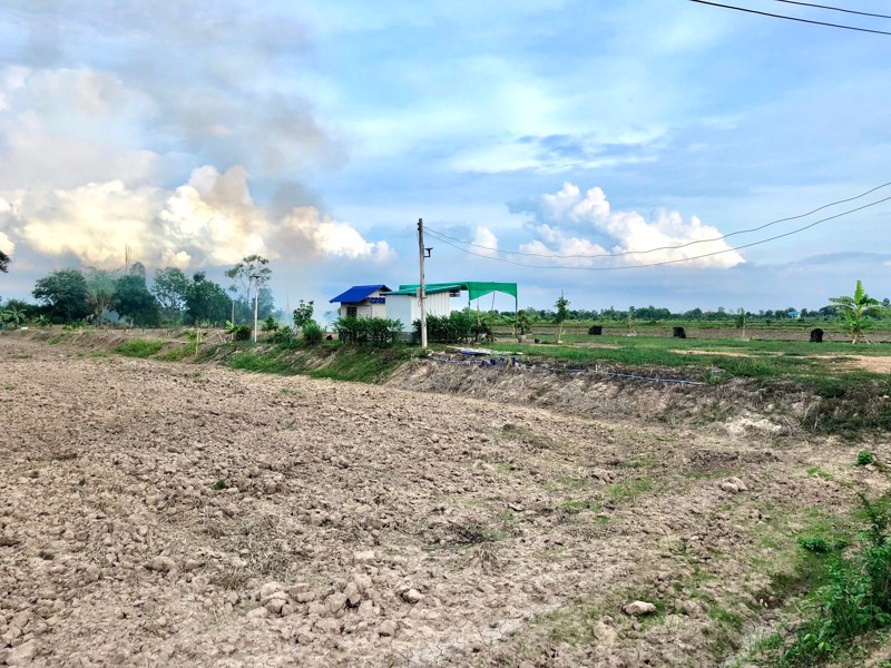 ขายด่วนที่ติดคลองราคา250000บาท-735-ตรว-ตบางอ้อ-อบ้านนา-จนครนายก