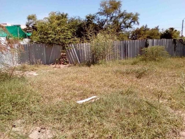 ให้เช่าที่ดินเปล่า-ถมแล้ว-ซอยลาดพร้าว-71-นาคนิวาส-12