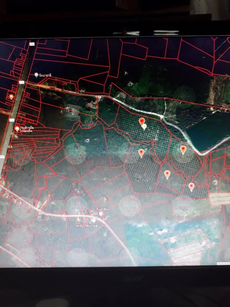 ลดราคา-ขายสวนปาล์ม-90-กว่าไร่-ไร่ละ-190000-บาท-ไร่