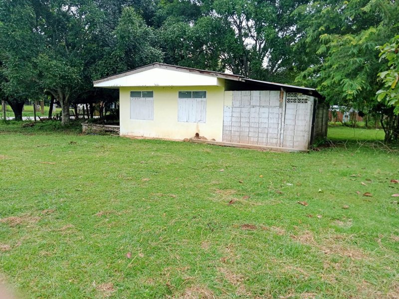 ขายที่ดินเปล่า-ถนนเด่นห้า-ดงมะดะ-ตป่าอ้อดอนชัย-อเมือง-จเชียงราย-ฝั่งเดียวกับไร่บุญรอด