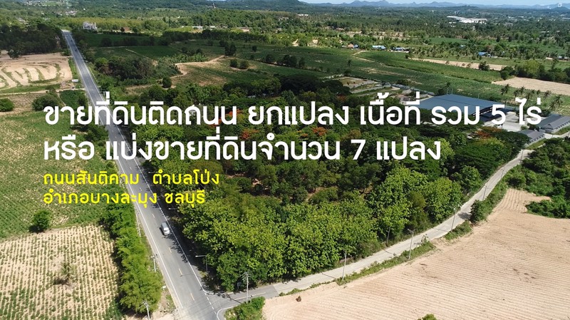 ขายที่ดินสวนบางละมุง-ถนนสันติคาม-ตำบลโป่ง-อำเภอบางละมุง-ชลบุรี
