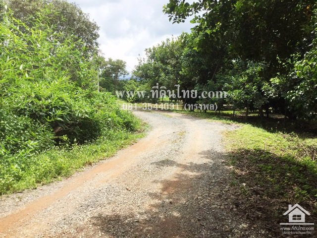 ขายสวนผลไม้-อมะขามจันทบุรี-โฉนด-6ไร่-ตมะขาม-อมะขามจจันทบุรี-รหัส-l295