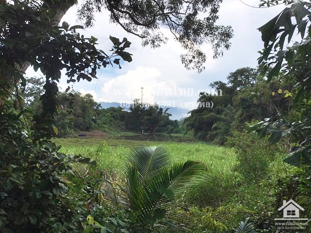 ขายที่ดินเพื่อที่อยู่อาศัย-ติดแม่น้ำจันทุรี-โฉนด-153ตรว-ตท่าช้าง-อเมือง-จจันทบุรี-รหัส-l296