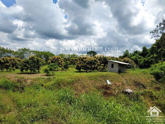 ขายที่ดินสวนลำไย-วิวสวย-ทุ่งกร่างทับไทร-35ไร่-ตทับไทร-อโป่งน้ำร้อน-จจันทบุรี-รหัส-l273