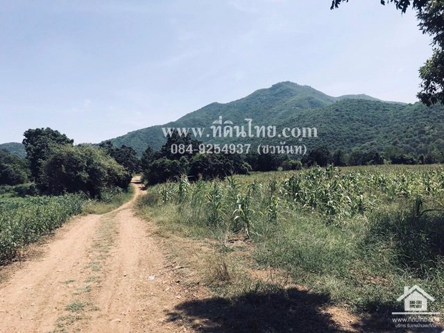 ขายที่ดินโคกสำโรง-ขายที่ดินลพบุรี-47ไร่-นส3ก-ตห้วยโป่ง-อโคกสำโรง-จลพบุรี-รหัส-l308