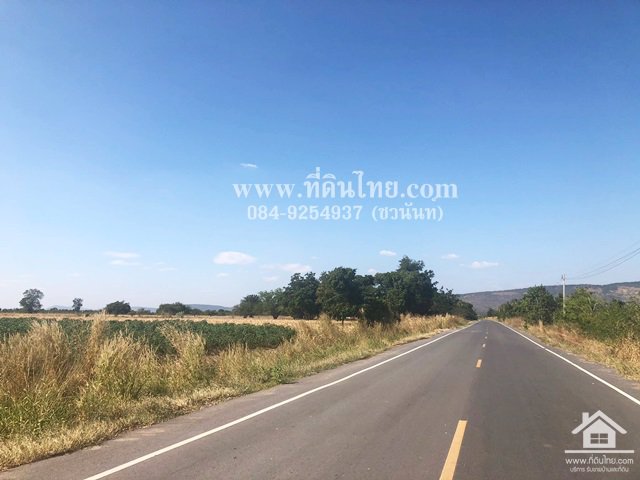 ขายที่ดินพัฒนานิคม-ขายที่ดินลพบุรี-โฉนด-24-ไร่-1-งาน-50-ตรว-ตพัฒนานิคม-อพัฒนานิคม-จลพบุรี-รหัส