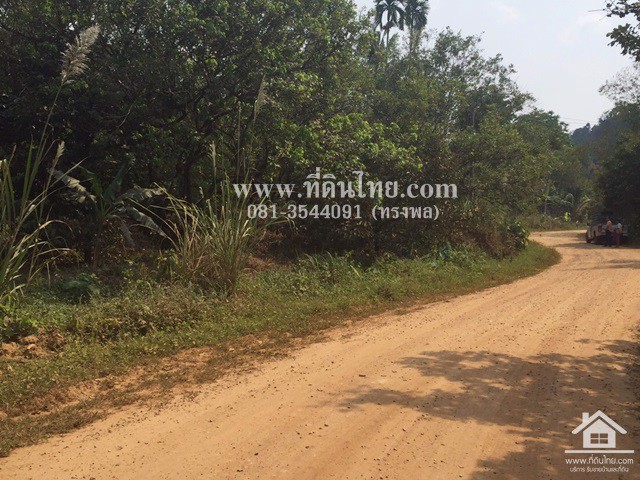 ขายที่ดิน-ภบท5-คลองขวางพัฒนา-จำนวน-14ไร่-ตปัถวี-อมะขาม-จจันทบุรี-รหัส-l323