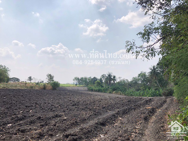ขายที่ดินหนองม่วง-ขายที่ดินลพบุรี-5ไร่เศษ-นส3ก-ตชอนสารเดช-อหนองม่วง-จลพบุรี-รหัส-l328