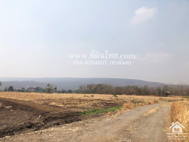 ขายที่ดินวังเพลิง-ขายที่ดินโคกสำโรง-8ไร่-3งาน-31ตรว-โฉนด-ตวังเพลิง-อโคกสำโรง-จลพบุรี-รหัส-l335