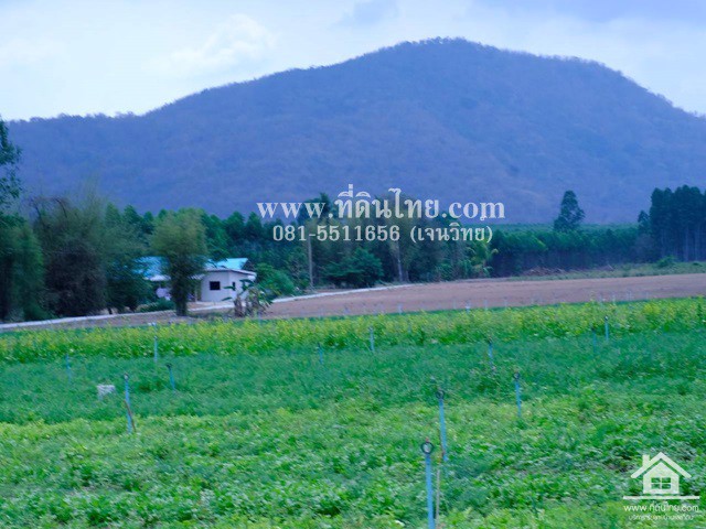 ขายที่ดินโฉนด-1ไร่-ตธาตุทอง-อบ่อทอง-จชลบุรี-รหัส-l338