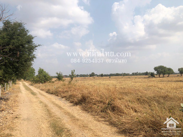 ขายที่ดินโคกสำโรง-ขายที่ดินคลองเกตุ-15-ไร่-3-งาน-77-ตรว-ตคลองเกตุ-อโคกสำโรง-จลพบุรี-รหัส-l344