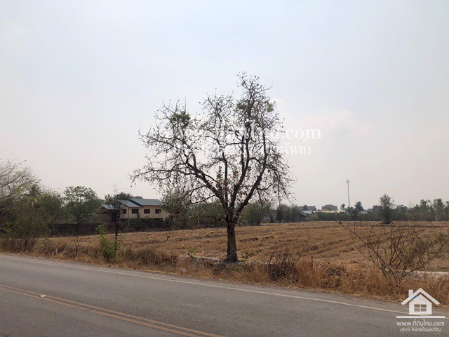 ขายที่ดินหมาโพธิ-ขายที่ดินสระโบสถ์-ขายที่ดินลพบุรี-4ไร่-โฉนด-ตมหาโพธิ-อสระโบสถ์-จลพบุรี-รหัส-l345