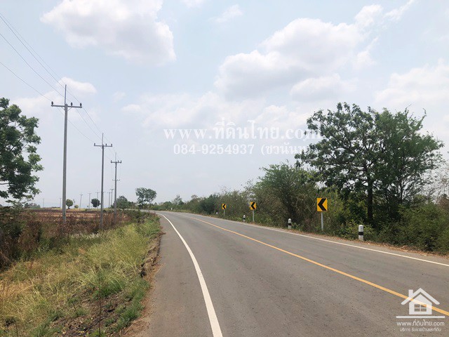 ขายที่ดินหนองม่วง-ขายที่ดินชอนสารเดช-16ไร่-1งาน-เศษ-นส3ก-ตชอนสารเดช-อหนองม่วง-จลพบุรี-รหัส-l349