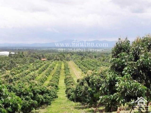 ขายที่ดินติดถนน317-ทับช้าง-สอยดาวจันทบุรี-โฉนด-20-2-12ไร่-ตทับช้าง-อสอยดาว-จจันทบุรี-รหัส-l352