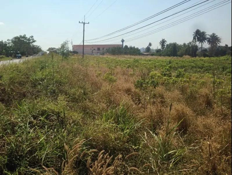ขายที่ดิน-1ไร่-3งาน-69-ตารางวา-ช่องสาริกา-พัฒนานิคม-ลพบุรี