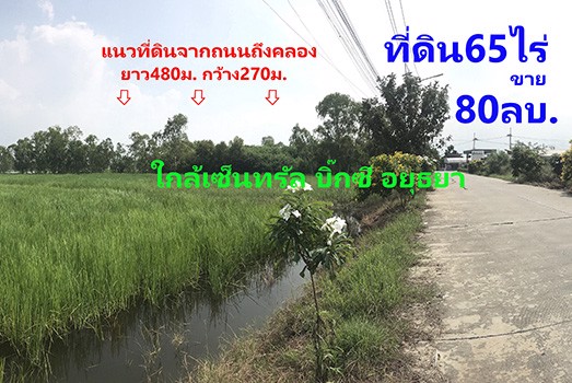 ขายที่ดิน-65ไร่-ทำเลดีมาก-ตบ้านกรด-อบางปะอิน-จอยุธยา