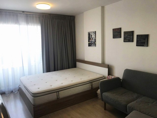 ด่วน-ให้เช่า-คอนโด-8000-เอลลิโอ-สุขุมวิท-64-ใกล้-bts-อุดมสุข