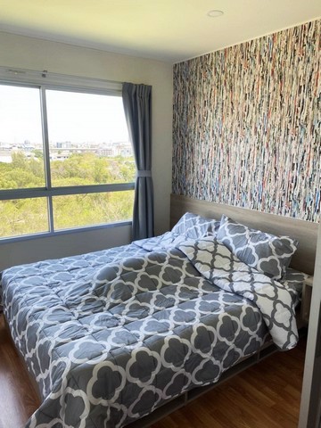 ให้เช่า-6500-คอนโด-ลุมพินี-วิลล์-สุขุมวิท-76-ใกล้-bts-แบริ่ง