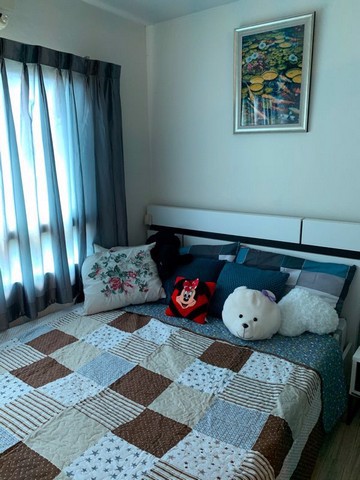 ให้เช่าด่วน-5000-คอนโด-ดิ-อเวนิว-บีช-บางนา-ใกล้มหาวิทยาลัย-abac-บางนา